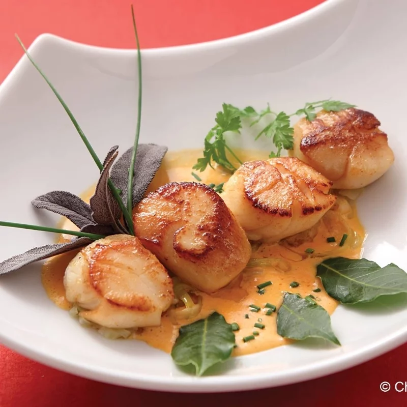 La Colonnade Restaurant Segre Realisation 16